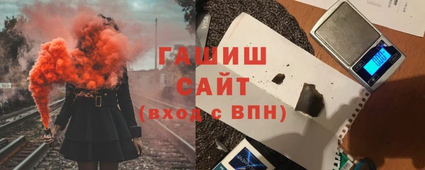 хмурый Аркадак