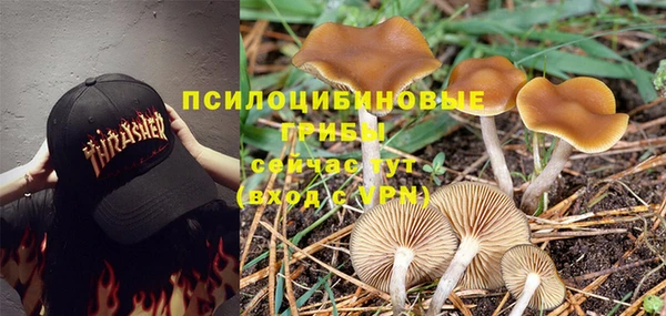 СК Арсеньев