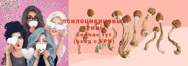 СК Арсеньев