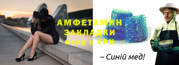 хмурый Аркадак