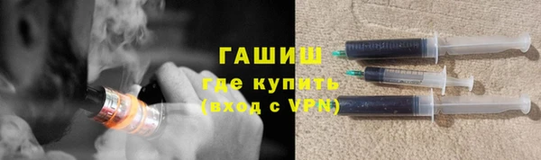 хмурый Аркадак