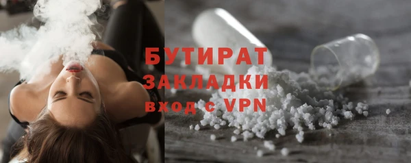хмурый Аркадак
