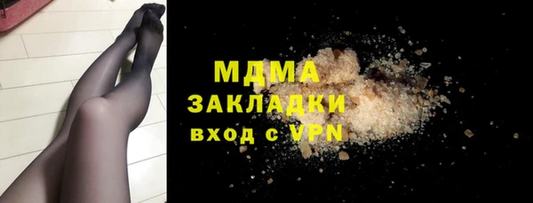 хмурый Аркадак