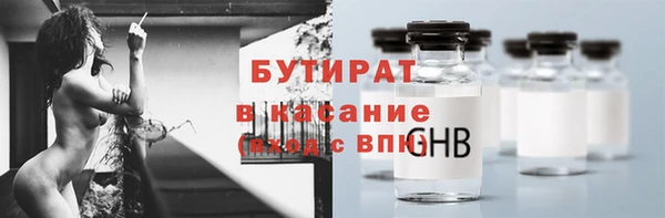 хмурый Аркадак