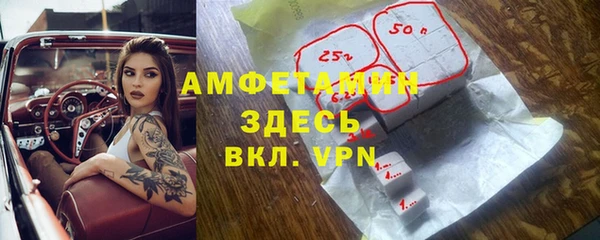 хмурый Аркадак