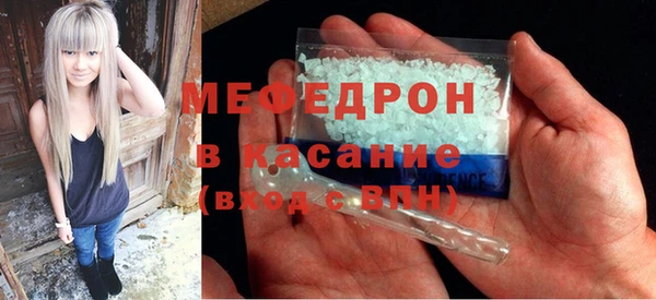 хмурый Аркадак