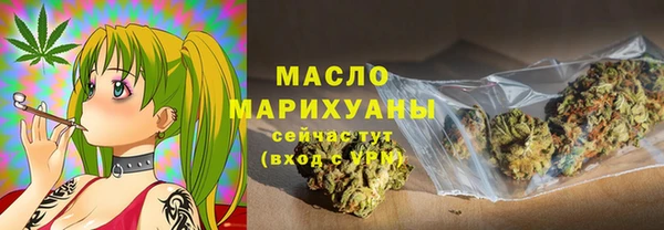 хмурый Аркадак