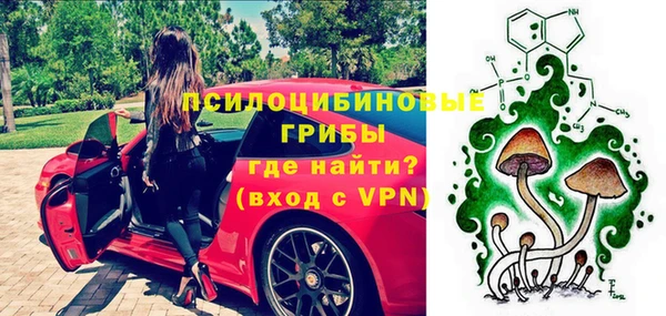 СК Арсеньев