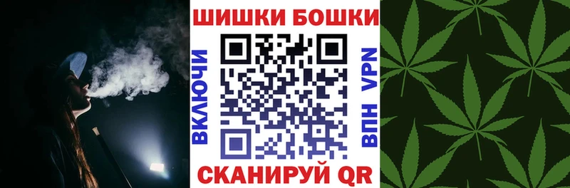 Бошки Шишки план Могоча